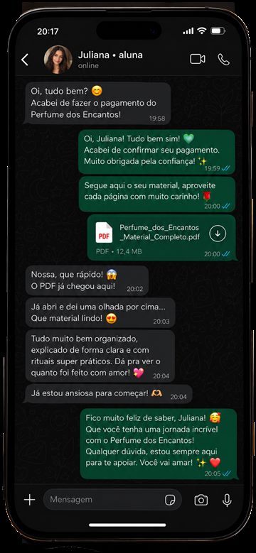 Depoimento da Juliana sobre pagamento confirmado, PDF recebido e material organizado